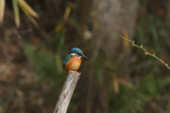 じわじわ寄る-1