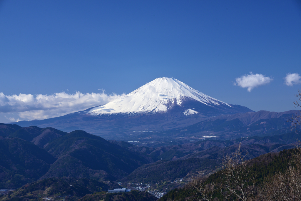 正月のお山