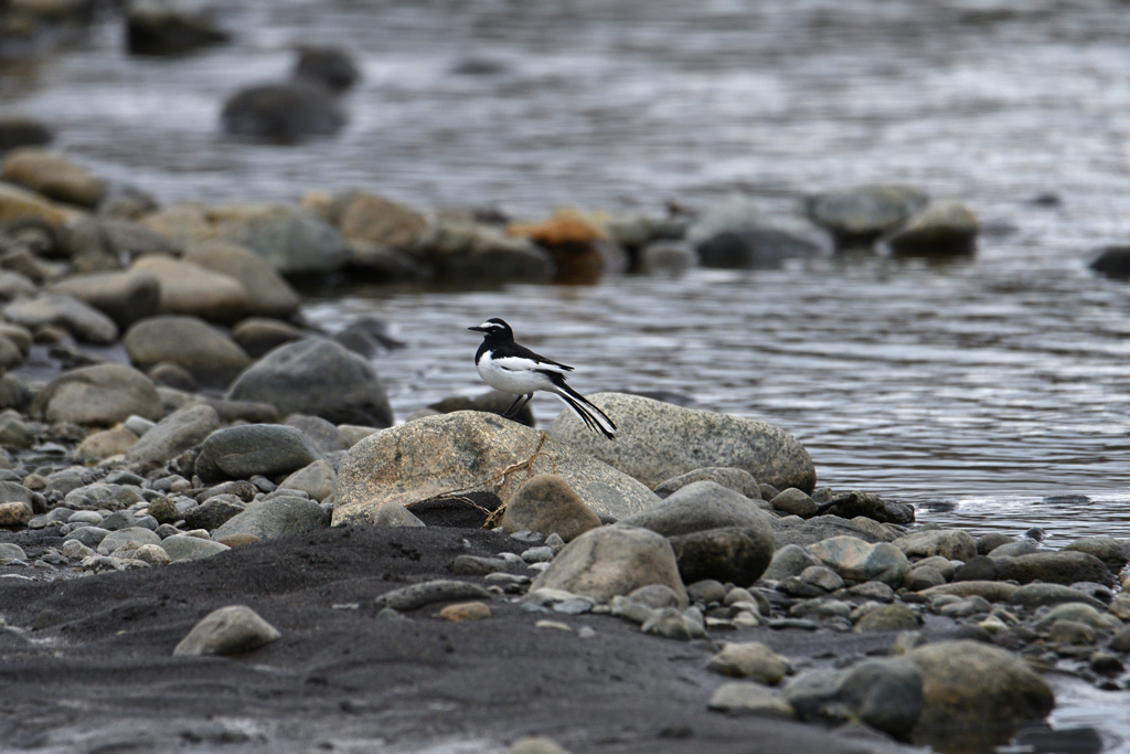 ごろた石の川原で