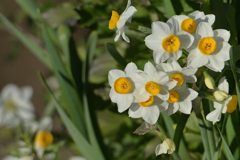 とっても寒いね