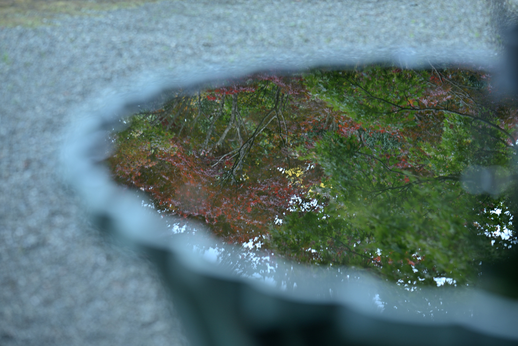 水に映して