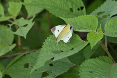 時代を繋ぐ者達