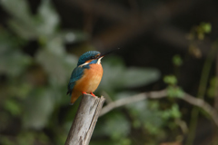 じわじわ寄る-3