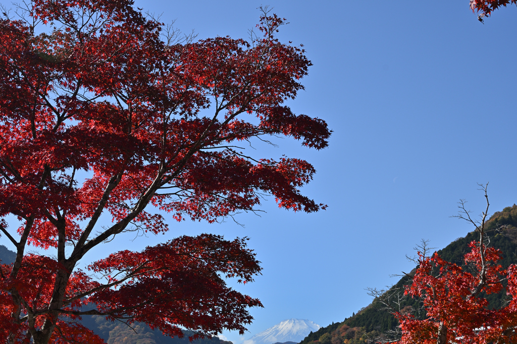 お山が見守る秋