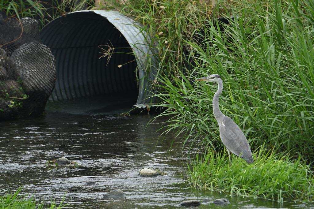 工事は終わらない