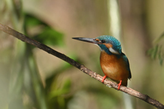 自慢の武器が輝く