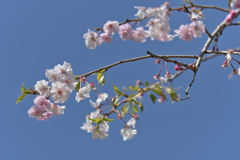 青い空