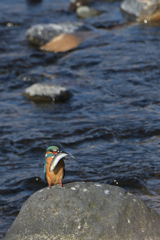 不安が押し寄せ