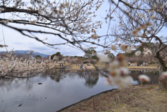 動き出す春