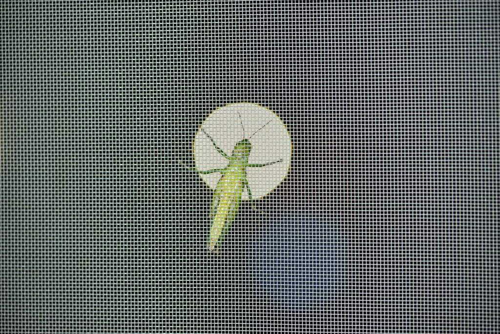 覗かれた～1