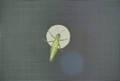 覗かれた～1