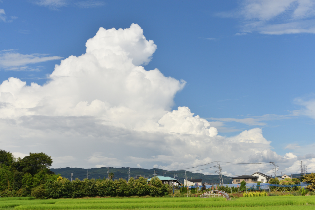 夏の空
