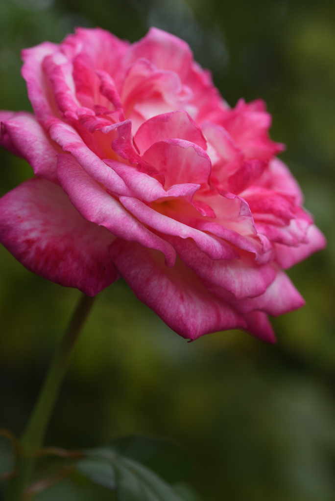 今週もお疲れ様でした ③