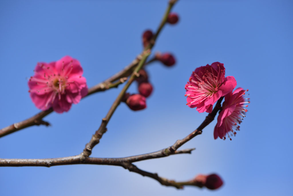 春風に誘われて-5