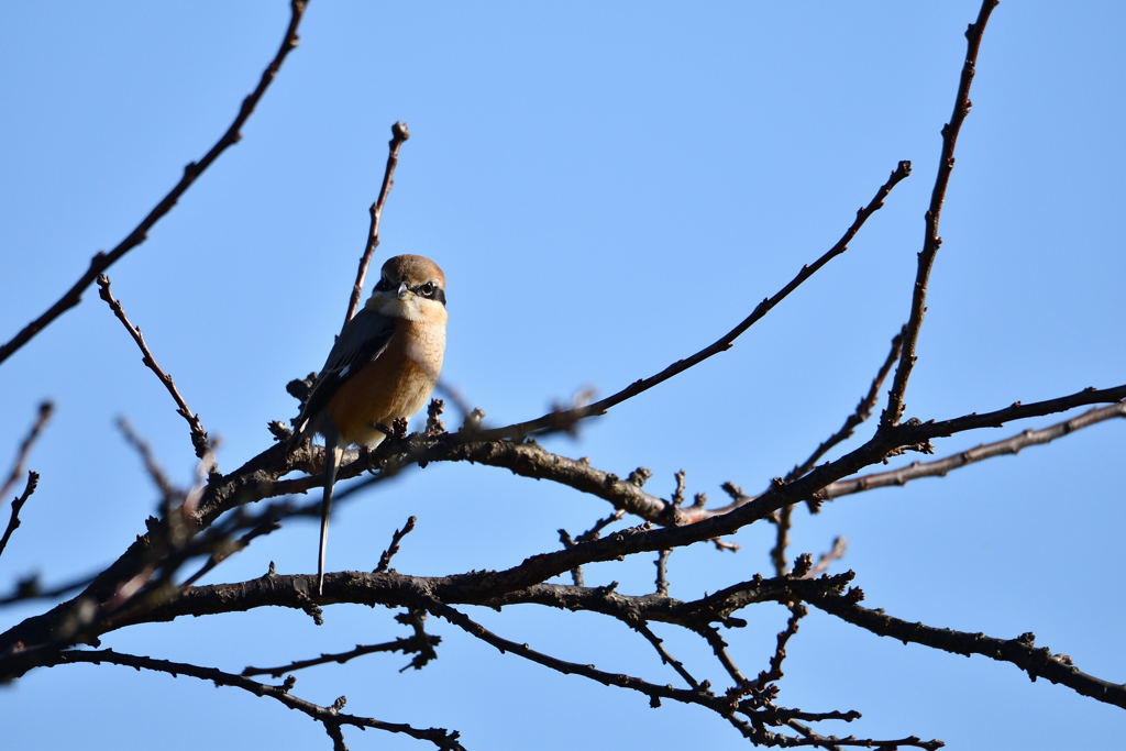 見つめ合うとき