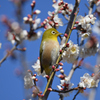 春だよ起きて～