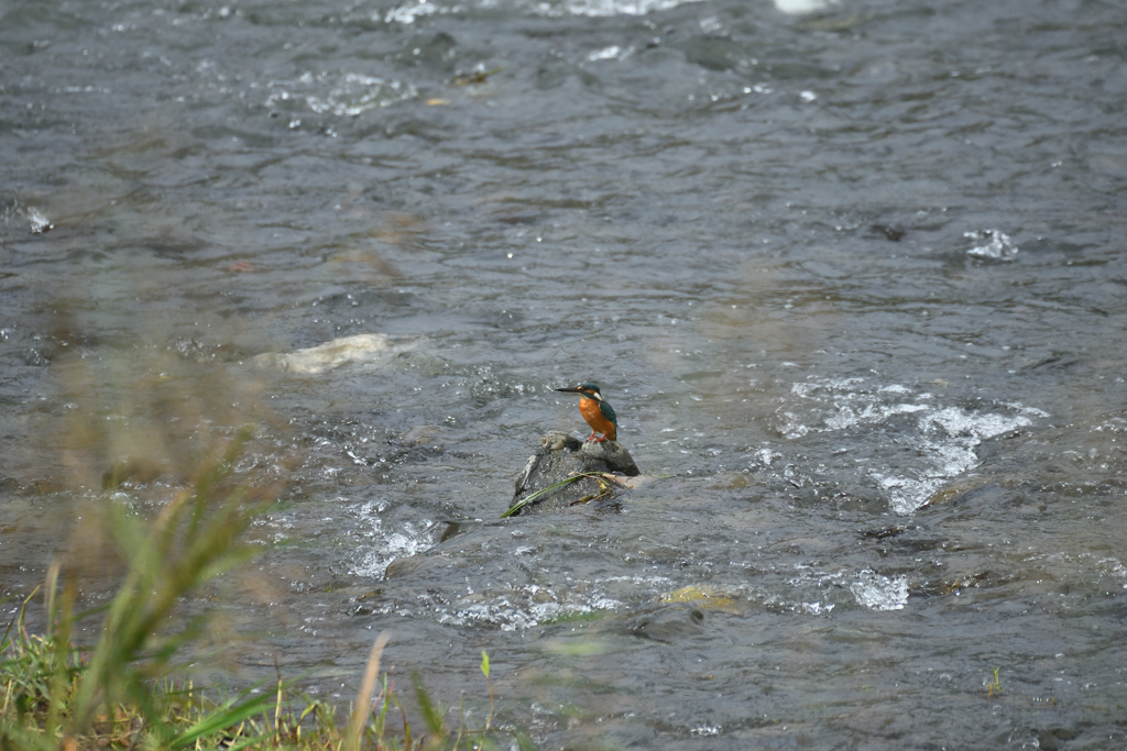 小さなタッチアンドゴー-3