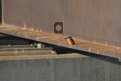 あったかいんだからぁ-1