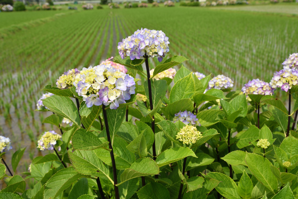 ちょっと違う
