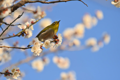 春を見つめて