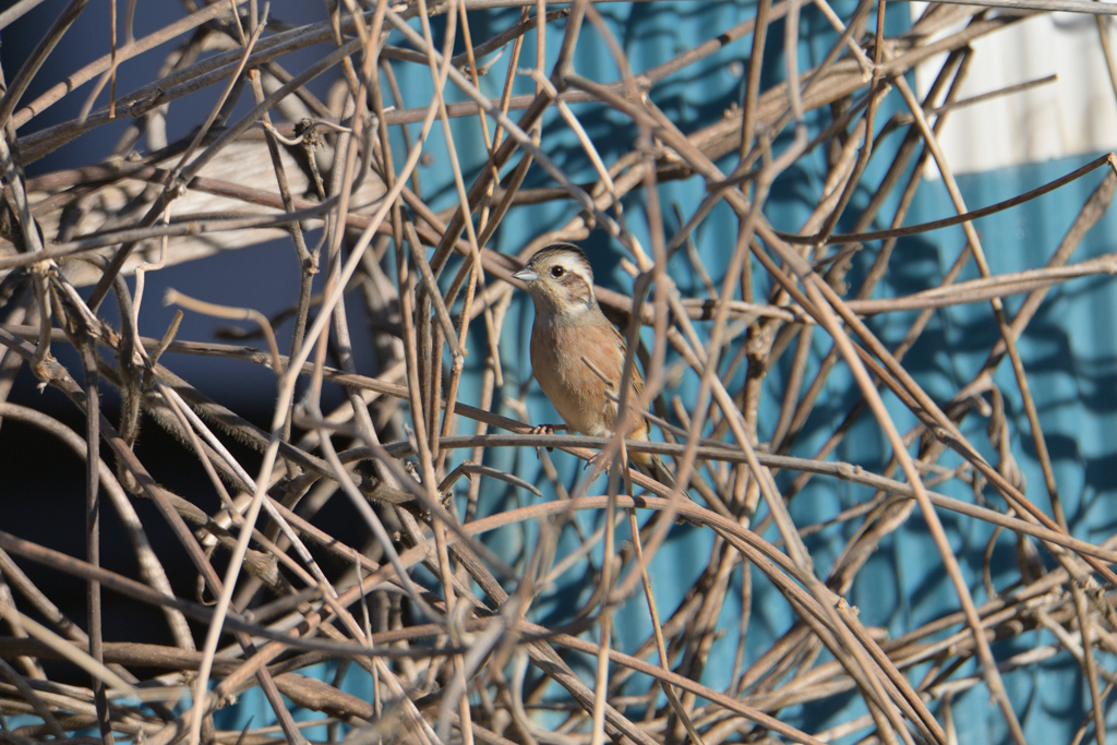 君には未来がある