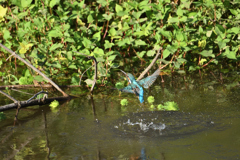 朝から元気