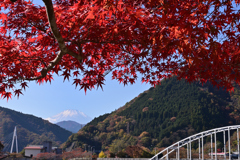 何時もの所で何時ものように紅葉狩り