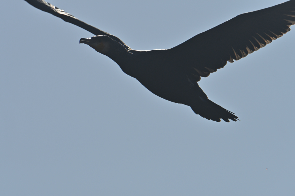 あったかいんだからぁ-3