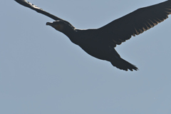 あったかいんだからぁ-3