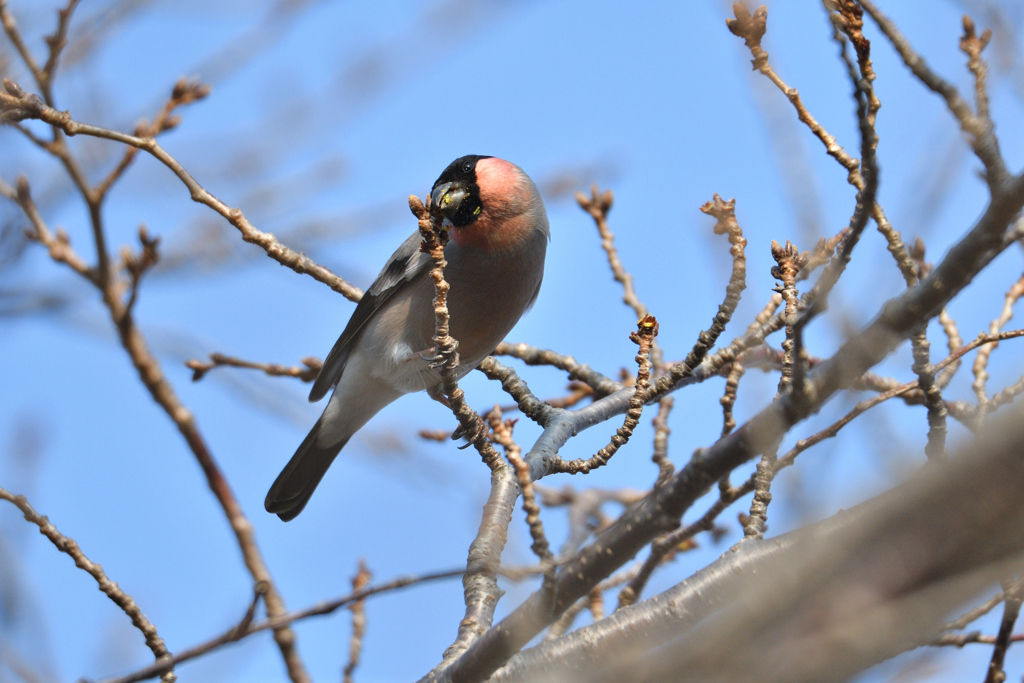 うそでしょ！-2