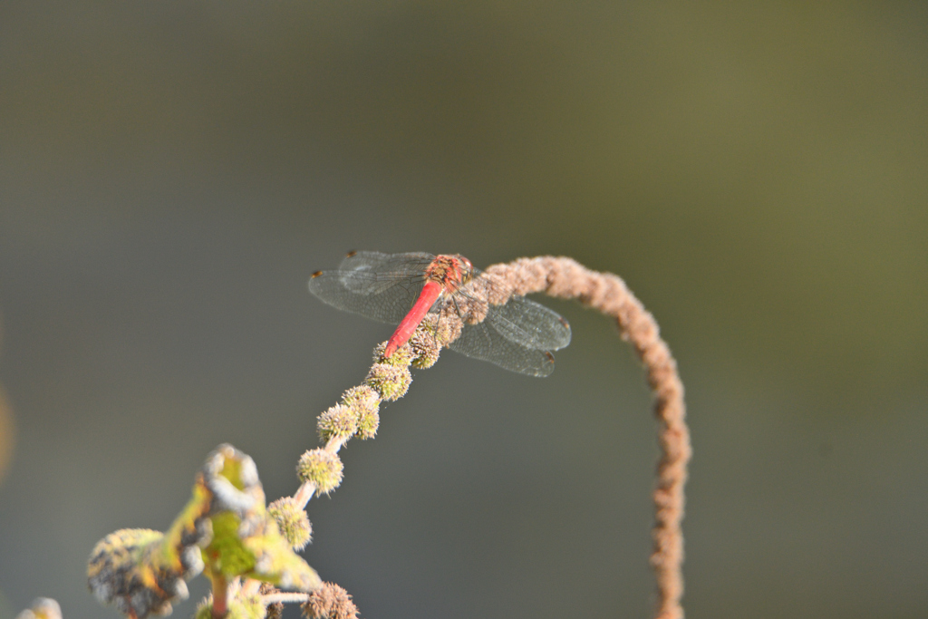 温もりが欲しい