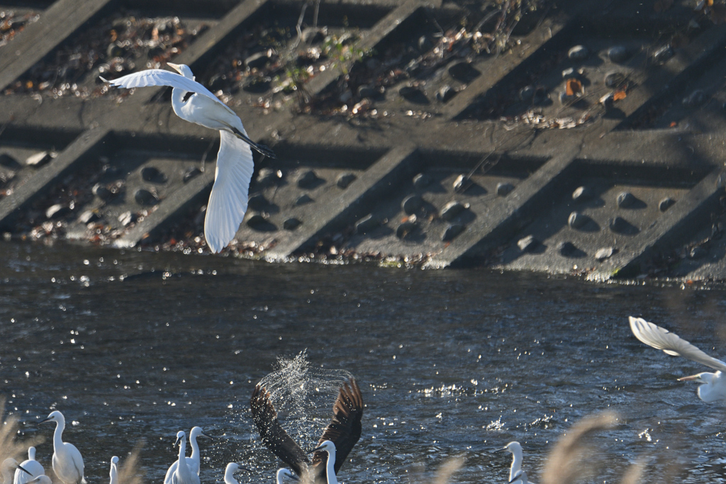 あったかいんだからぁ-2