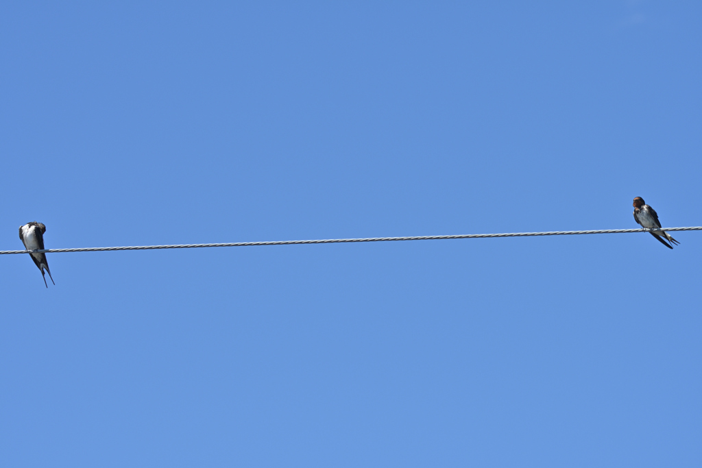 青---空
