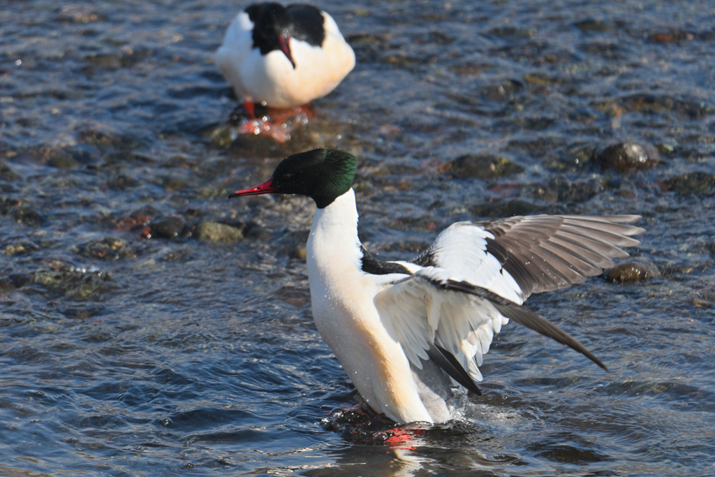 ちょっと水切り-2