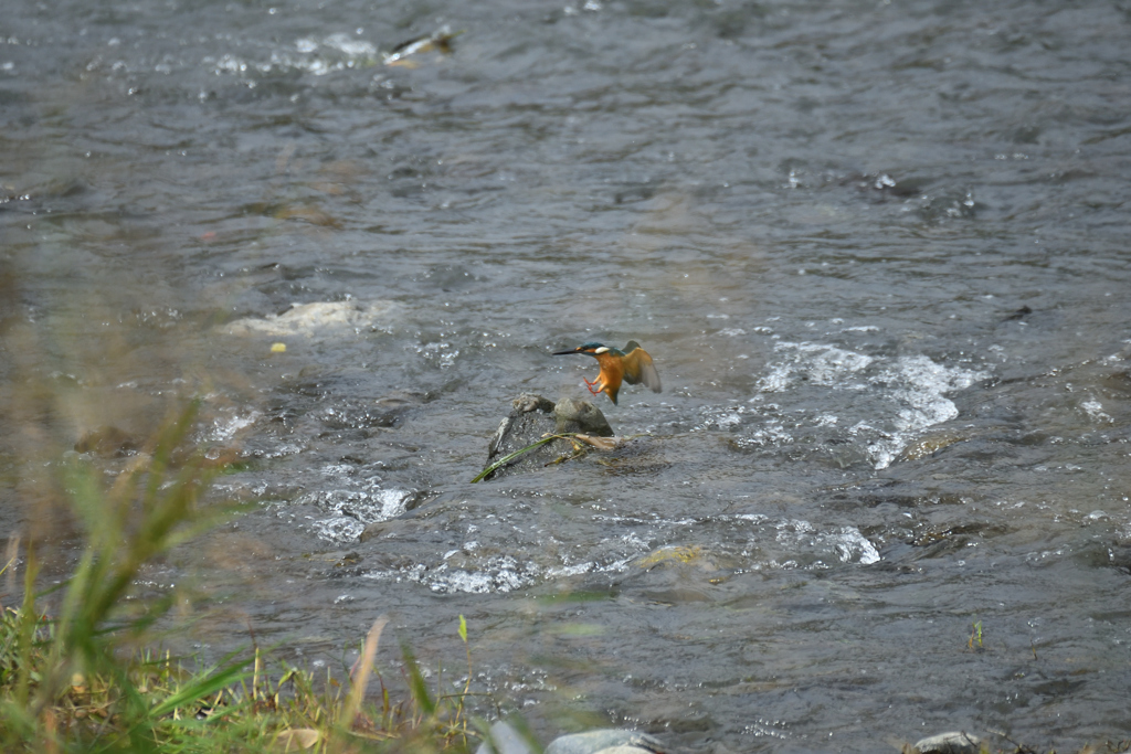 小さなタッチアンドゴー-1