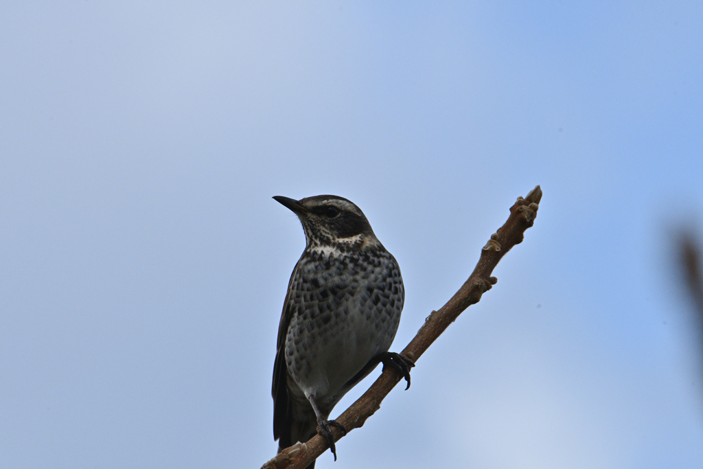 待っていてくれた-2