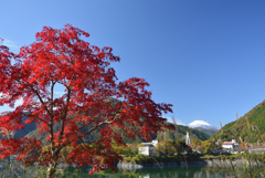 湖の紅葉