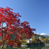 湖の紅葉