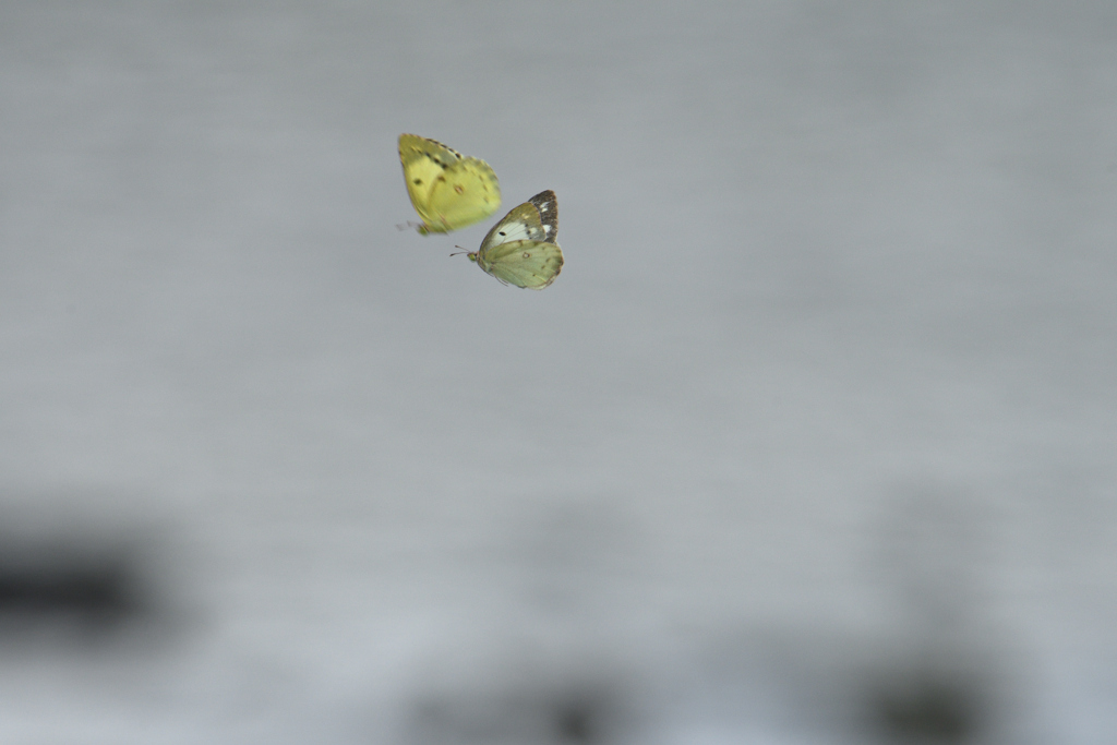 空のデート
