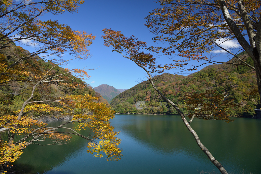 湖畔の秋