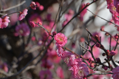 もう少しもう少し