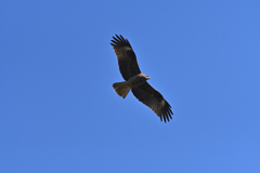 青空-2