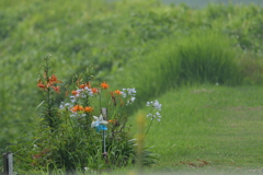 花とかざぐるま