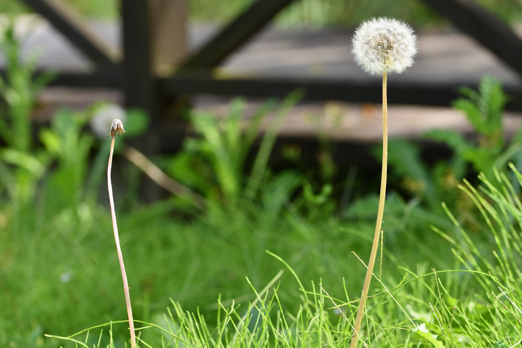 何時でもいいよ