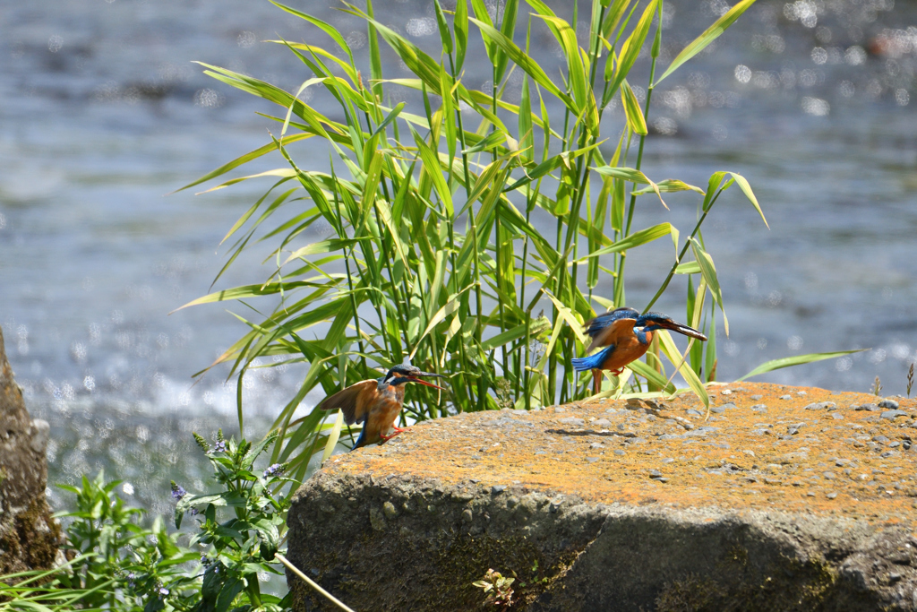 やけに焦らすね-①