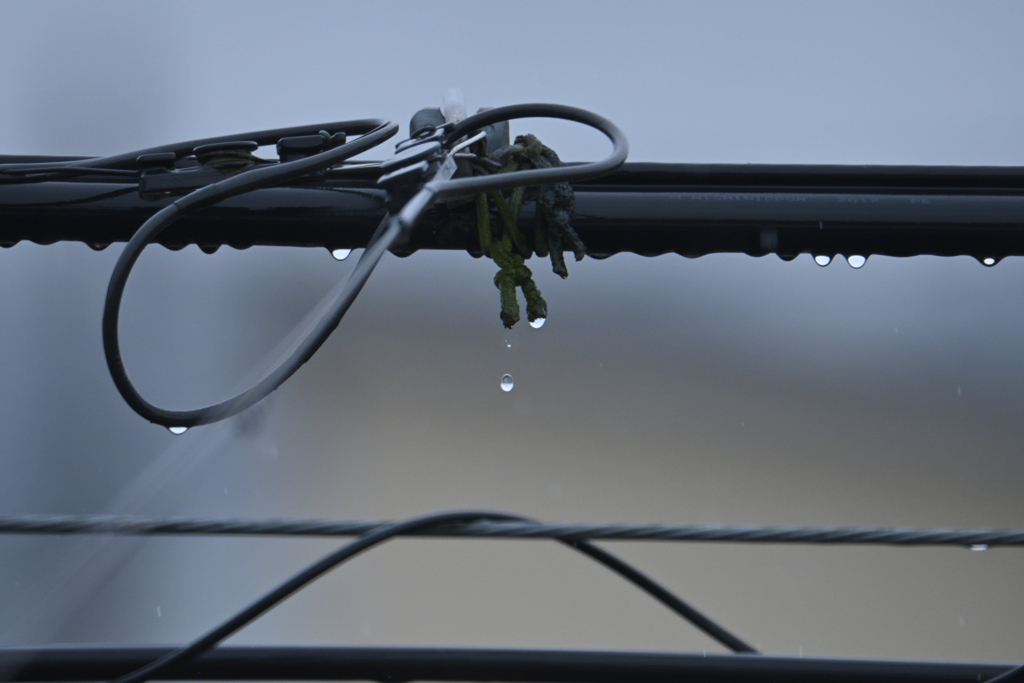 雨垂れ