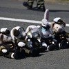 基地の5人衆