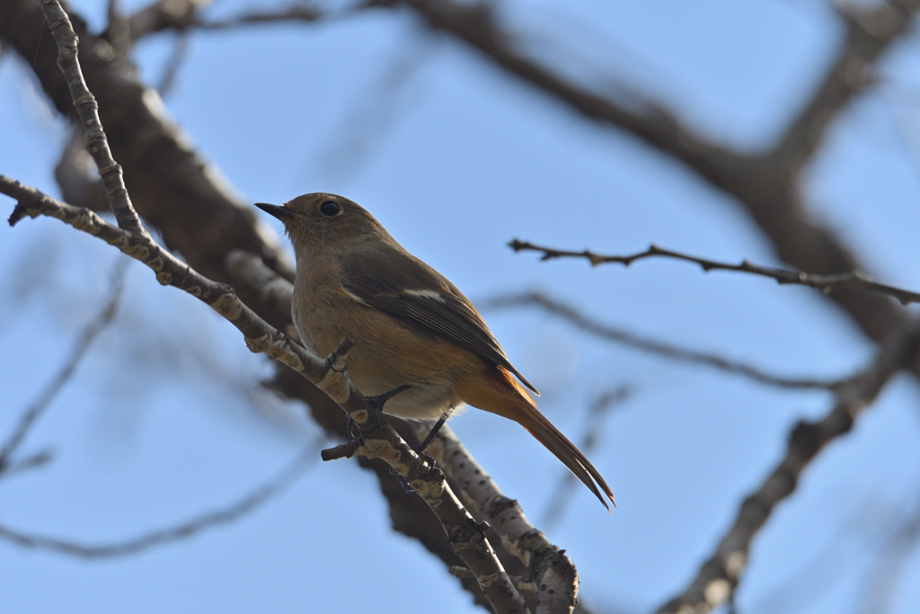 姫が来てくれた