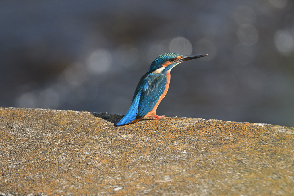 青いロングドレス