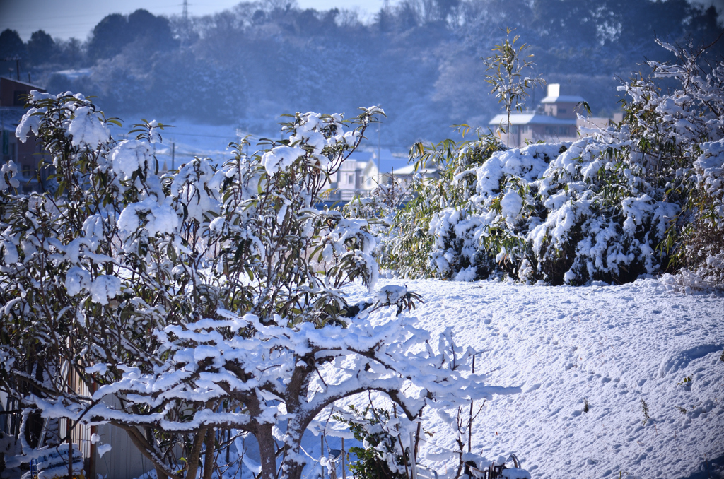 目覚めたら雪国-1